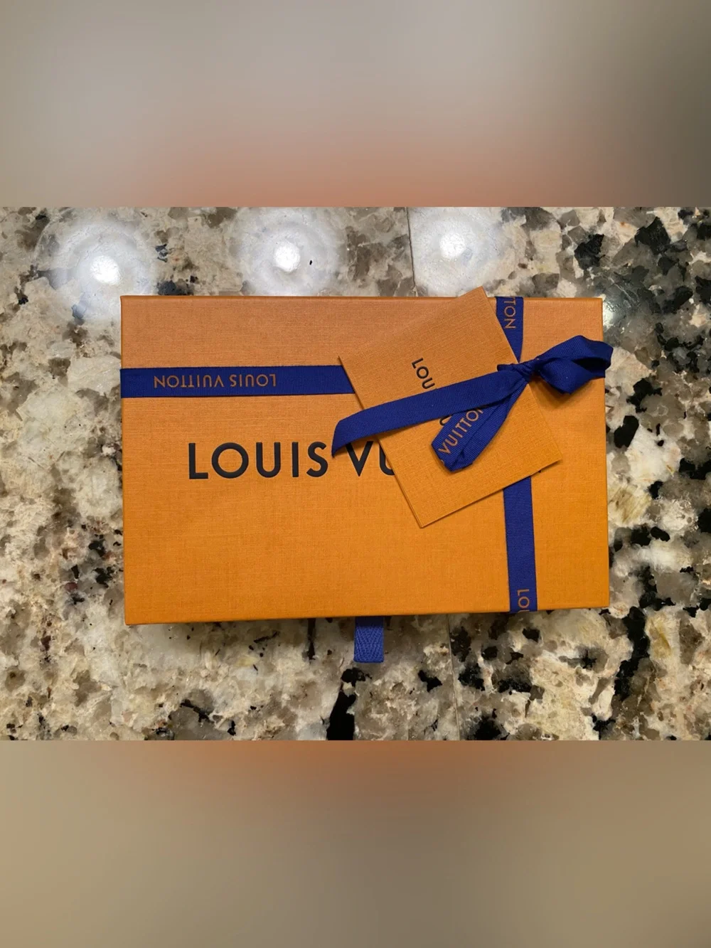 Louis Vuitton Black Monogram iPhone Case